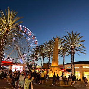 Meet your Posher, Dana